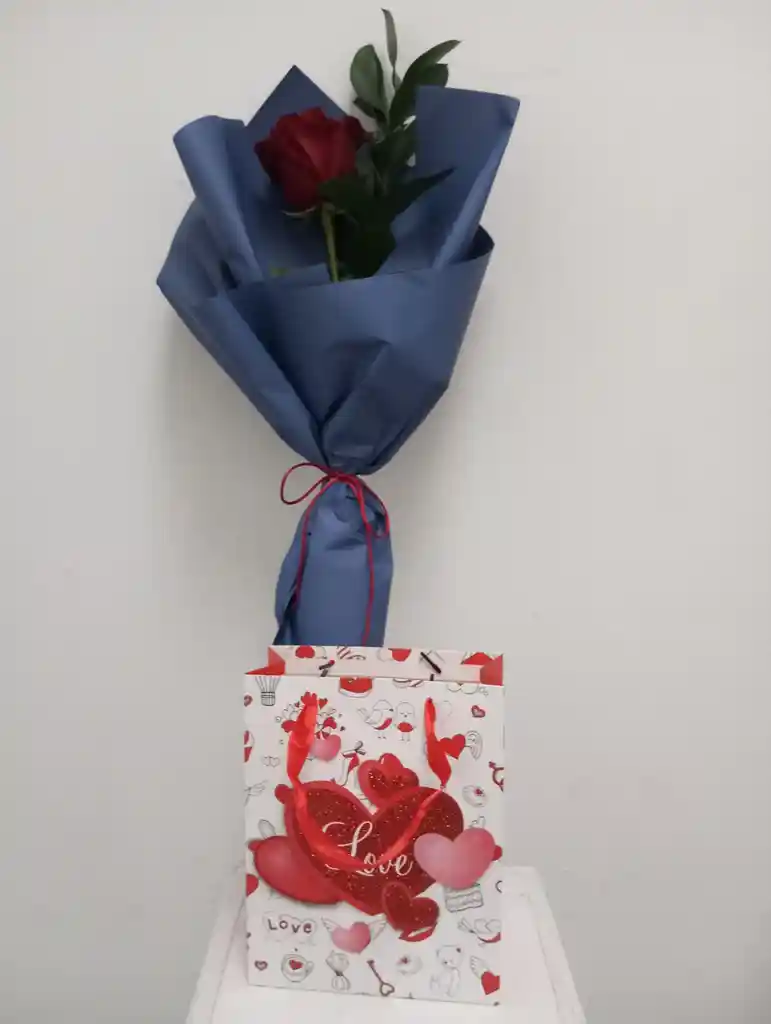 Rosa Roja 1 Tazón Y Bolsa