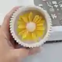 Vela En Macetero: Margarita