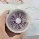 Vela En Macetero: Margarita