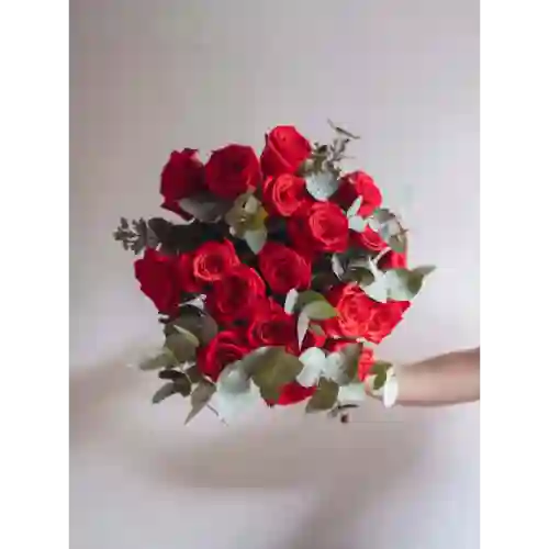 Rosas Rojas 10 Unidades