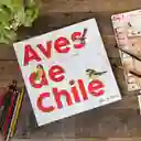 Libro Aves De Chile Por Mj Pedraza