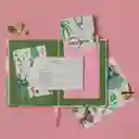 Alfabeto Plantista - Tercera Edición