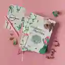 Alfabeto Plantista - Tercera Edición