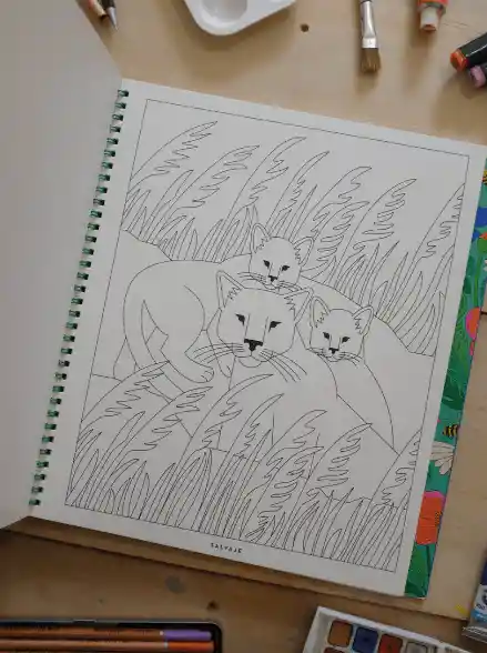 Cri Cri Libro Para Colorear