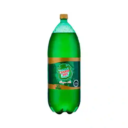 Canada Dry 3l