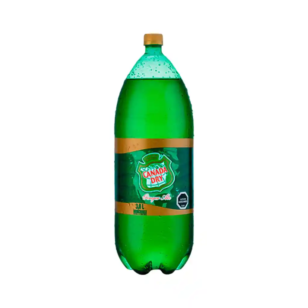 Canada Dry 3l