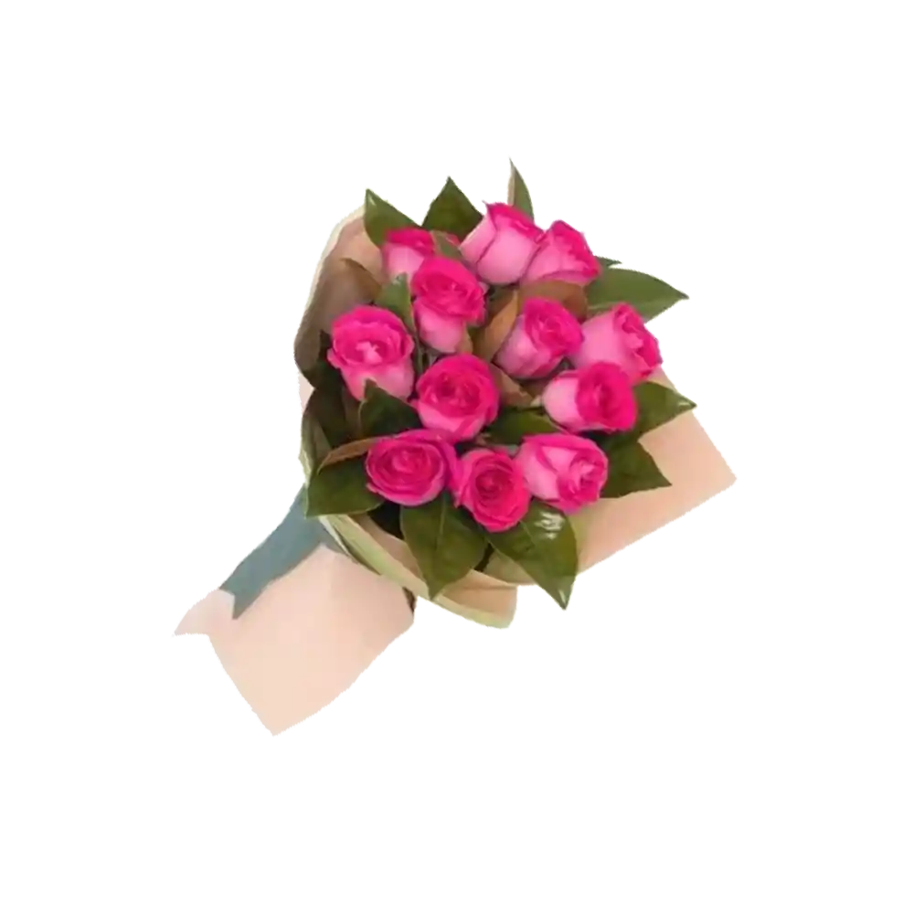 Ramo Con 10 Rosas Fucsia