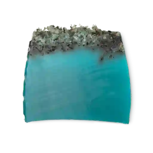 Sea Vegetable Jabón