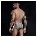 Ropa Interior Masculina Erótica, Zunga Plateada