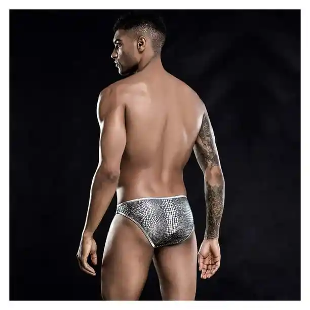 Ropa Interior Masculina Erótica, Zunga Plateada