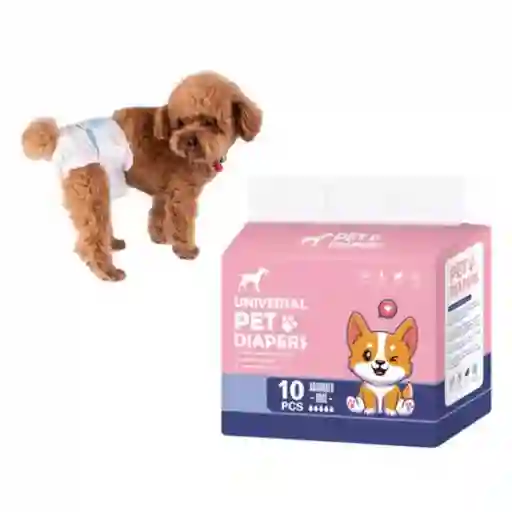 Pañales Hembra Talla L – 10u