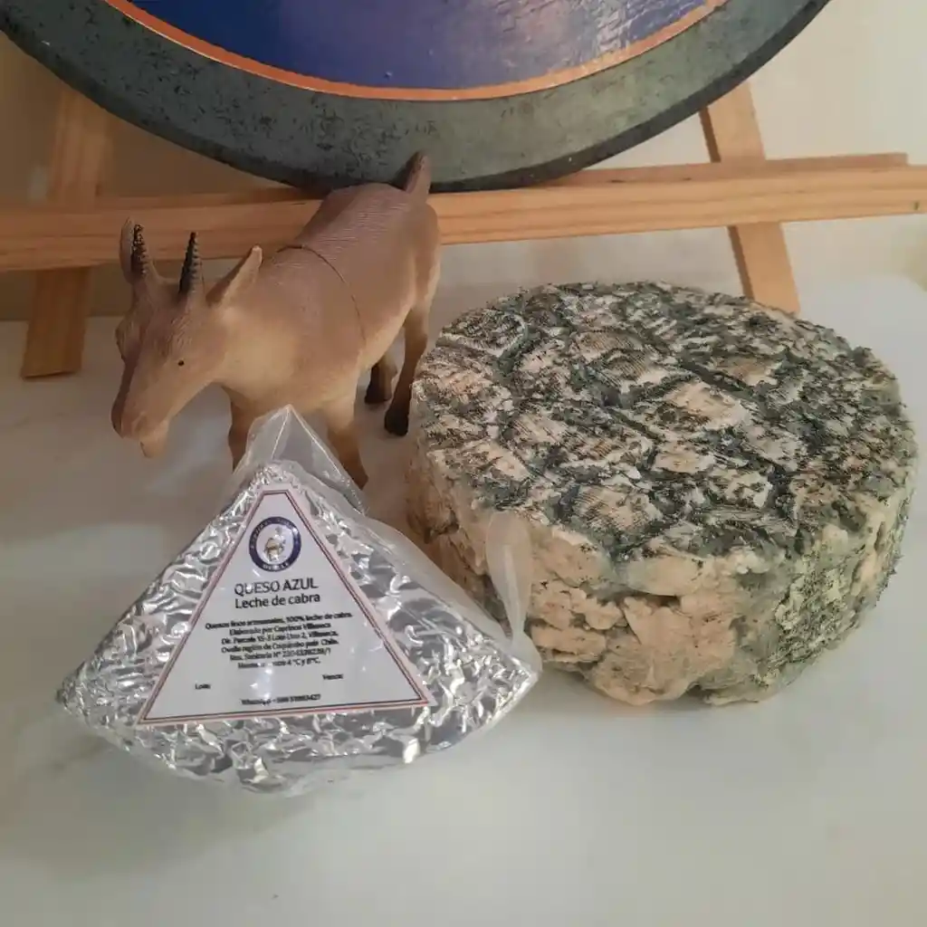 Queso Azul De Cabra, Lacteos Villaseca (ovalle), 100 Grs