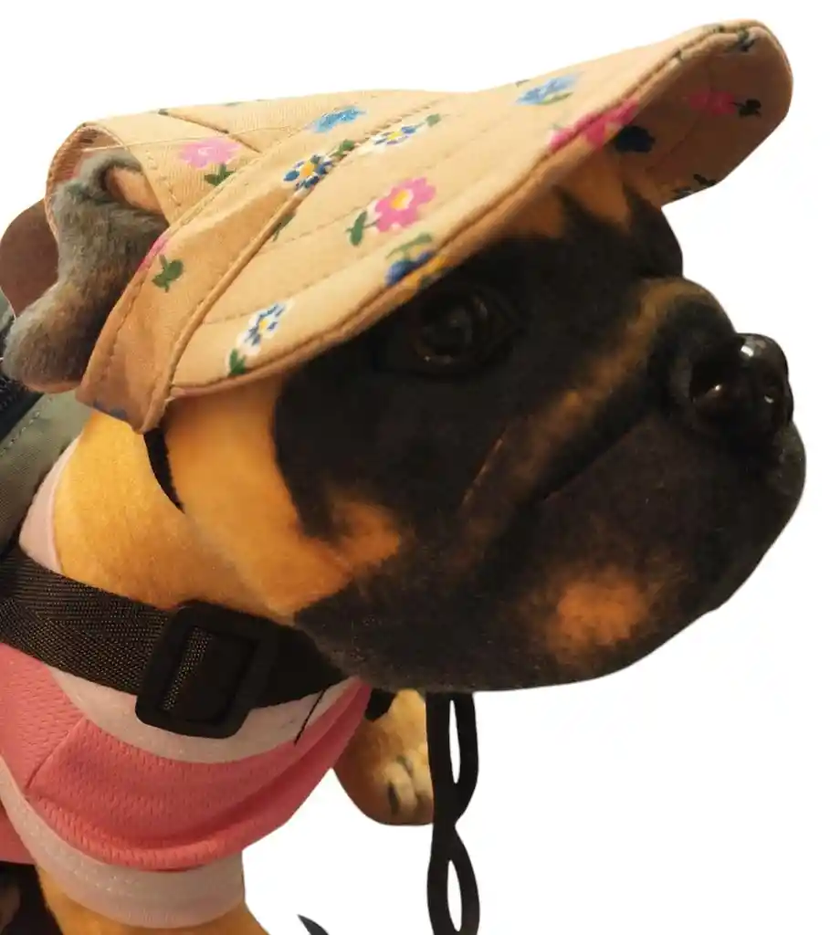 Buen Amigo - Gorra Para Mascotas Pequeñas (79345)