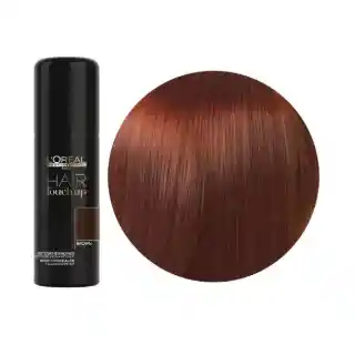 Hair Touch Up Brown