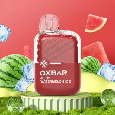 Vaporizador Desechable Oxbar