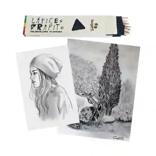 Lapiz Grafito Hb Triangular, Set De 12 Un
