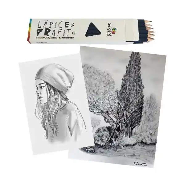 Lapiz Grafito Hb Triangular, Set De 12 Un