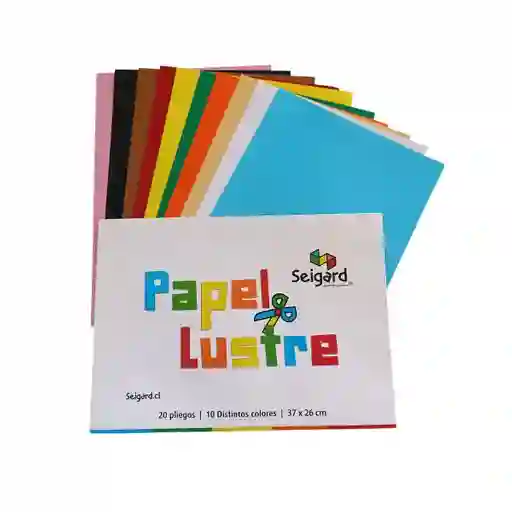 Papel Lustre De 20 Pliegos,10 Co