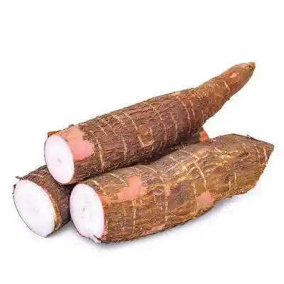 Yuca