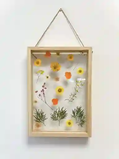 Cuadro Flores Prensadas Citricas (l)