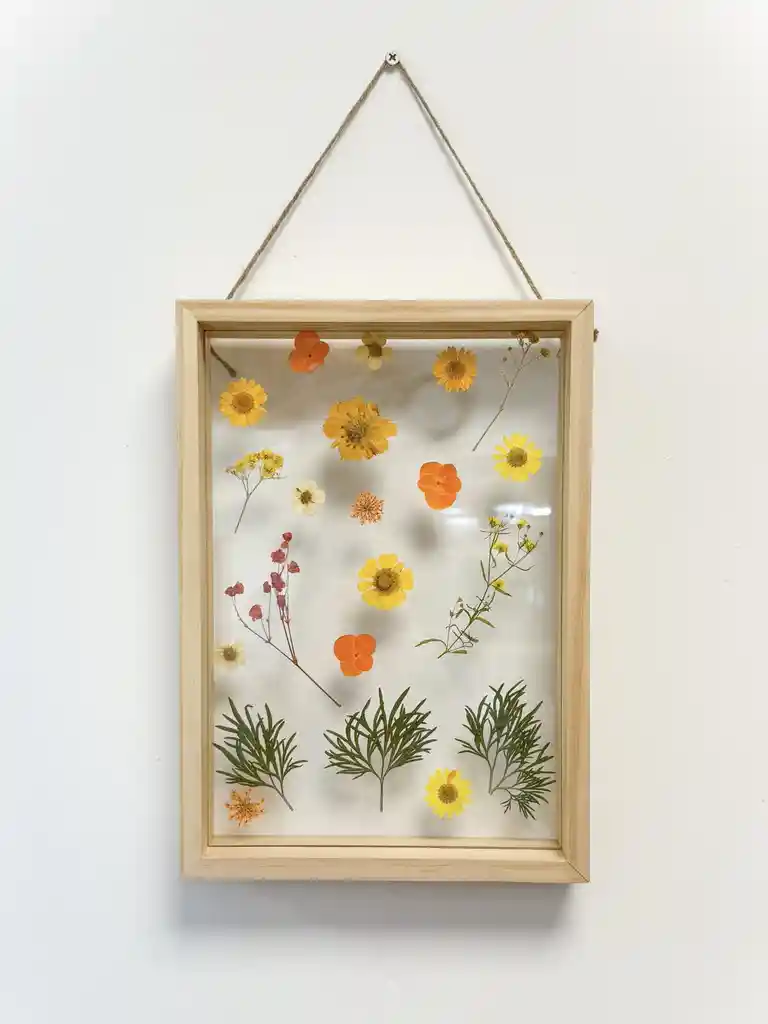 Cuadro Flores Prensadas Citricas (l)