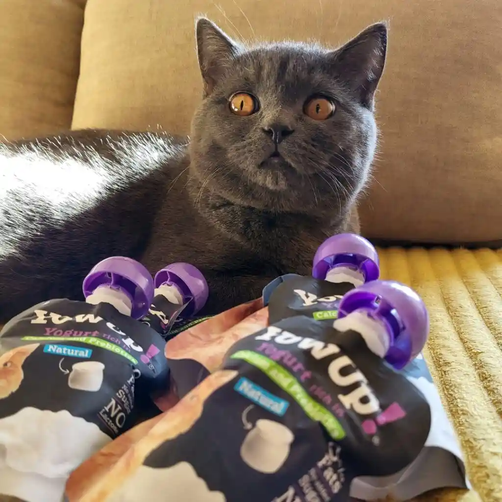 Yowup! Yogurt Para Gato Prebiotics Natural