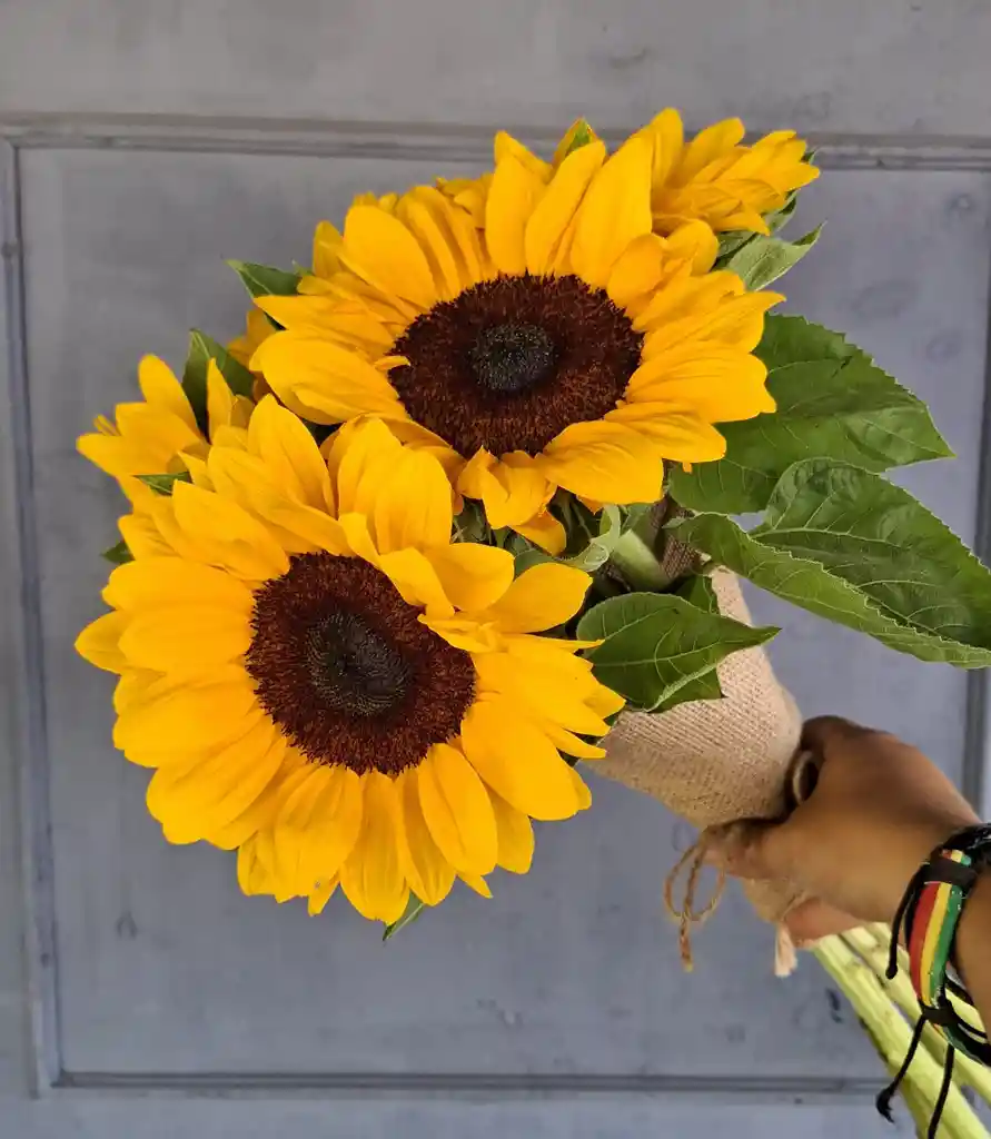 Ramo 5 Girasoles
