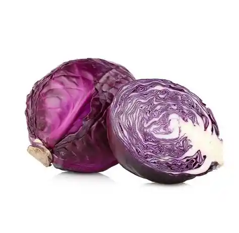 Repollo Morado