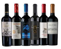 Pack 6x Vinos Reserva Carmenere Mix
