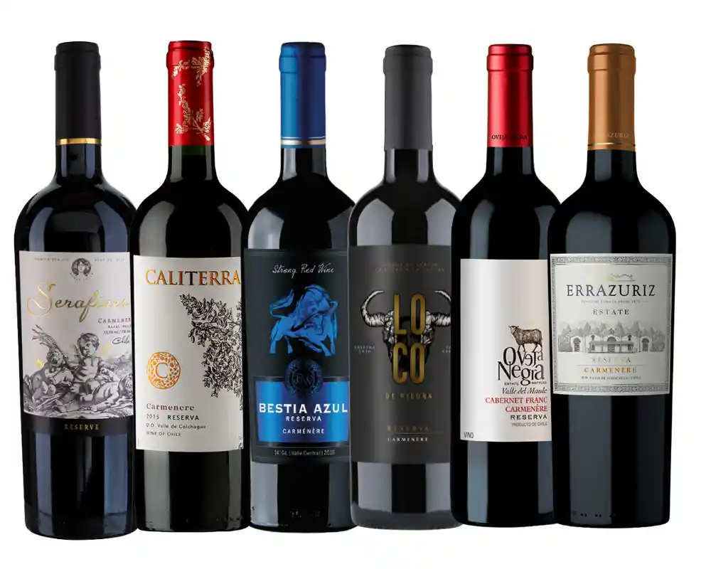 Pack 6x Vinos Reserva Carmenere Mix