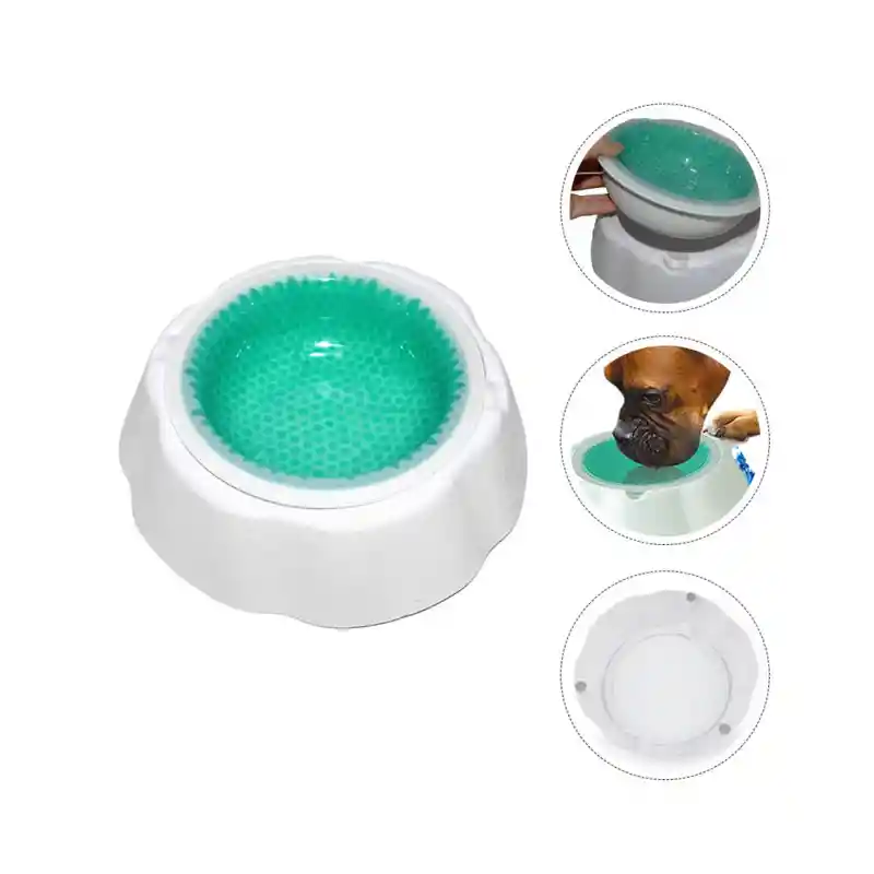 Plato Bebedero Refrescante De Gel