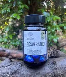 Resveratrol 500mg (antioxidante)