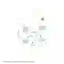 The Purest Solutions Serum Intensivo Pieles Grasas Refinador De Poros Con Niacinamida 5% + Zinc Pca 30 Ml