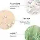 The Purest Solutions Serum Intensivo Pieles Grasas Refinador De Poros Con Niacinamida 5% + Zinc Pca 30 Ml