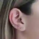 Aros Trepadores 4 Flores Plata Fina 925