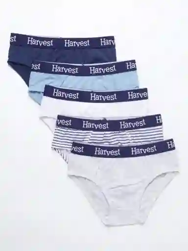 5pack Slip1 Hvt B Tt Surtido 6