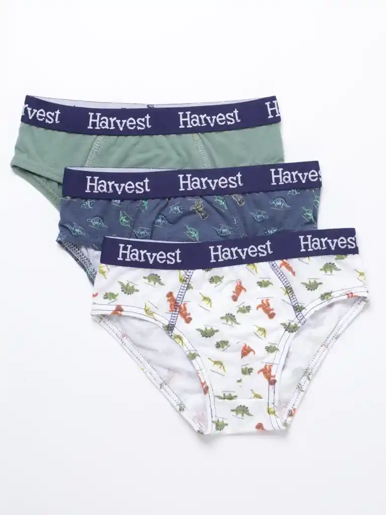 3pack Slip1 Hvt B Tt Surtido 4