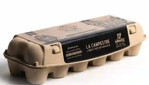 Pack 12 Huevos Talla Xl , Gallinas Felices