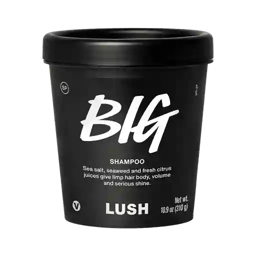 Big Shampoo 330g