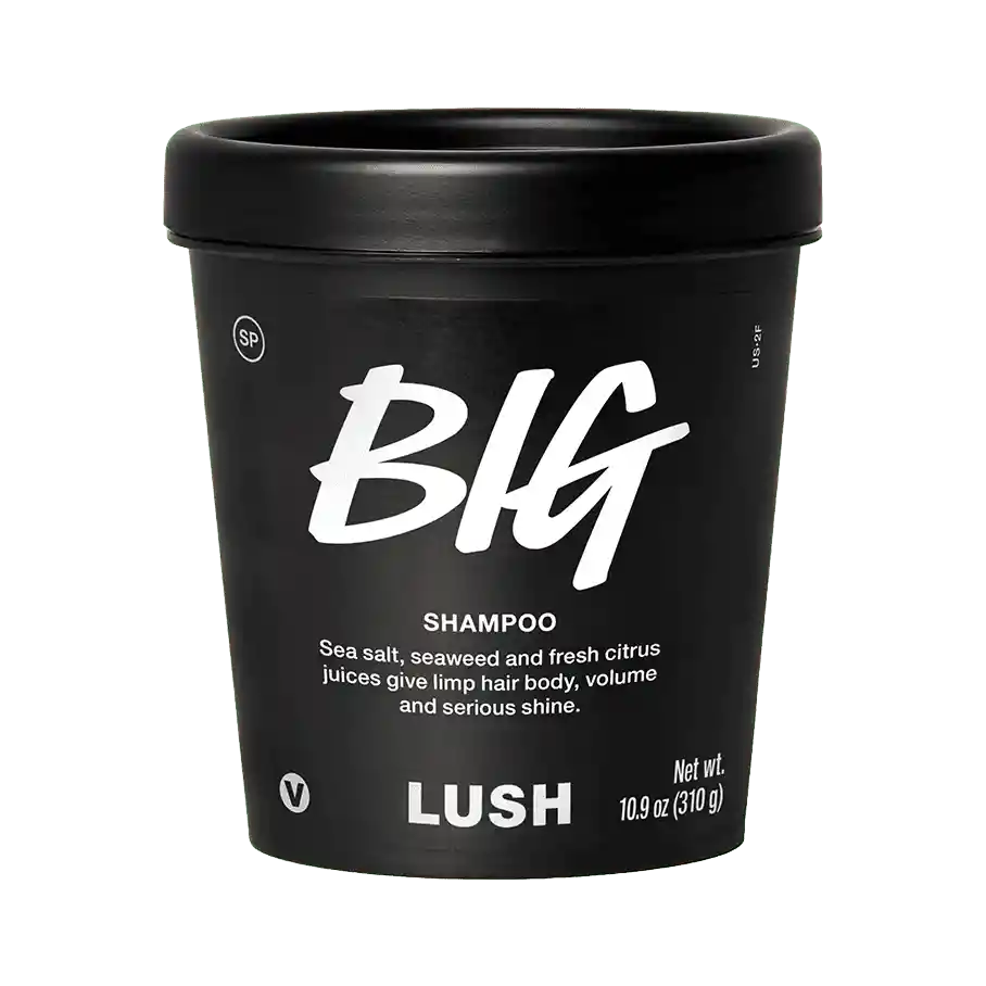 Big Shampoo 330g