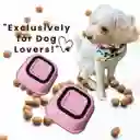 Juego De Platos De Comida - Comedor - Tazas Para Perros Rosa Matte - Acero Inoxidable Y Antideslizante