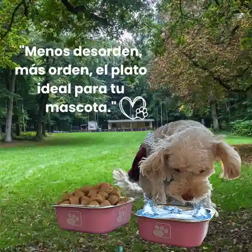 Juego De Platos De Comida - Comedor - Tazas Para Perros Rosa Matte - Acero Inoxidable Y Antideslizante