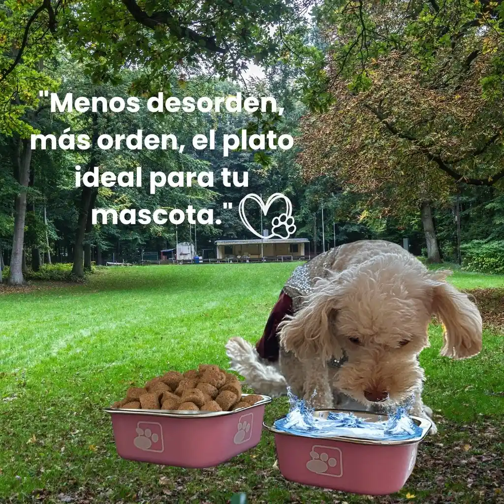Juego De Platos De Comida - Comedor - Tazas Para Perros Rosa Matte - Acero Inoxidable Y Antideslizante