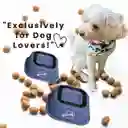 Juego De Platos De Comida - Comedor - Tazas Para Perros Azul Matte - Acero Inoxidable Y Antideslizante