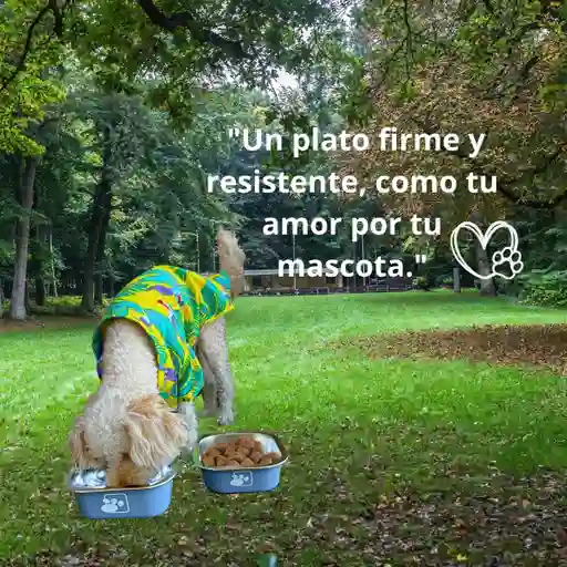 Juego De Platos De Comida - Comedor - Tazas Para Perros Azul Matte - Acero Inoxidable Y Antideslizante