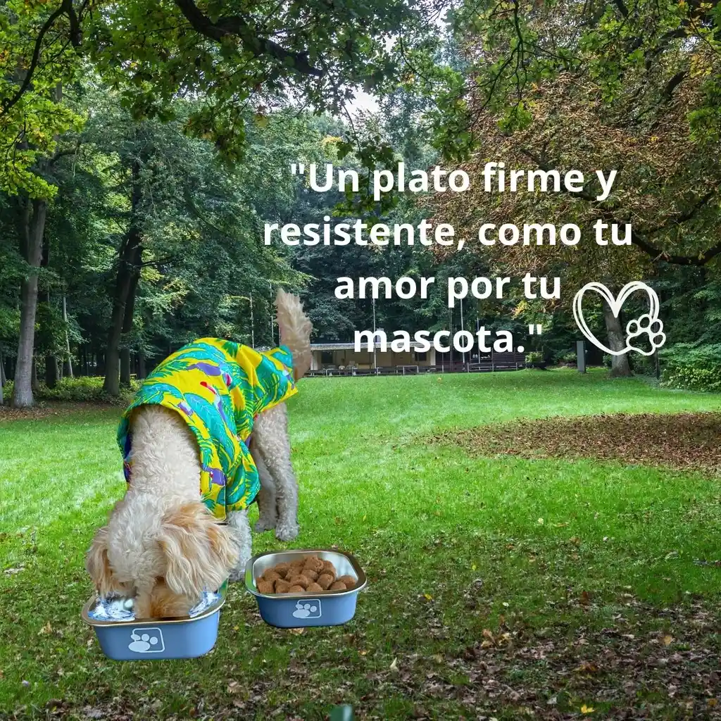 Juego De Platos De Comida - Comedor - Tazas Para Perros Azul Matte - Acero Inoxidable Y Antideslizante