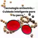 Juego De Platos Rojos Plegables Para Perros - Con Sistema Antiansiedad Y Portátiles