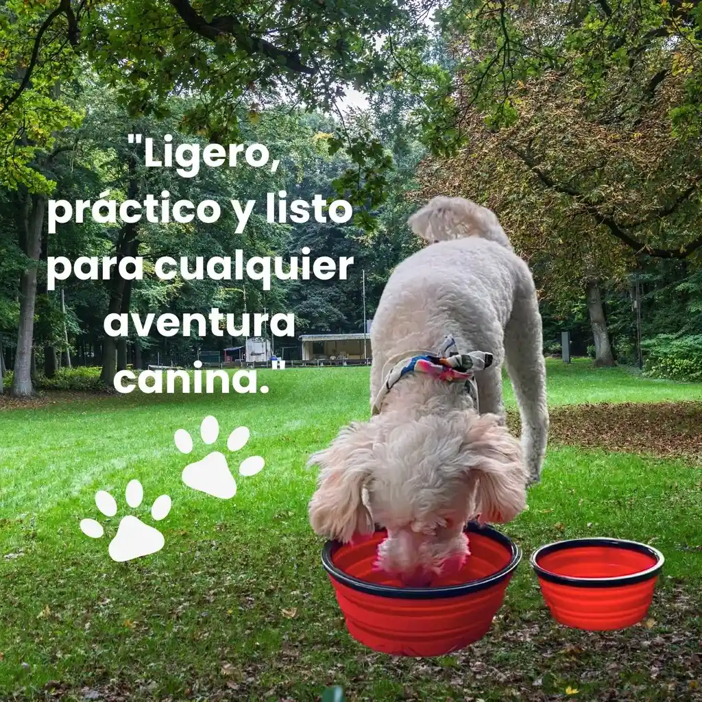 Juego De Platos Rojos Plegables Para Perros - Con Sistema Antiansiedad Y Portátiles
