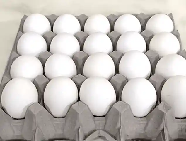 20 Huevos Blancos Grande
