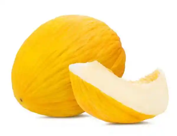 Melon Dorado